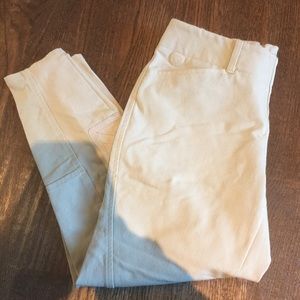 Ariat pro series breeches